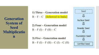 Maintenance Breeding and Seed Generation System.pptx