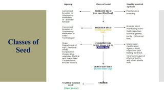 Maintenance Breeding and Seed Generation System.pptx
