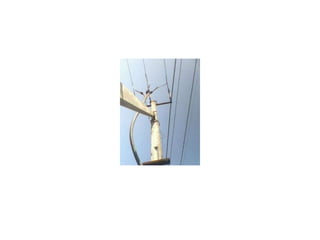 Maintenance of eht lines | PPTX