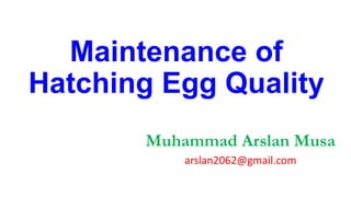 Maintenance of
Hatching Egg Quality
Muhammad Arslan Musa
arslan2062@gmail.com
 