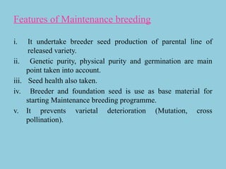 Comprehensive Guide to Maintenance of Nucleus and Breeder Seed ...