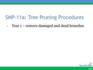 SMP-11a: Tree Pruning Procedures
•   Year 1 – remove damaged and dead branches




                                                165
 