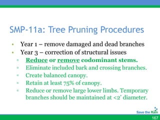 SMP-11a: Tree Pruning Procedures
•       Year 1 – remove damaged and dead branches
•       Year 3 – correction of structural issues
    ▫    Reduce or remove codominant stems.
    ▫    Eliminate included bark and crossing branches.
    ▫    Create balanced canopy.
    ▫    Retain at least 75% of canopy.
    ▫    Reduce or remove large lower limbs. Temporary
         branches should be maintained at <2’ diameter.


                                                          167
 