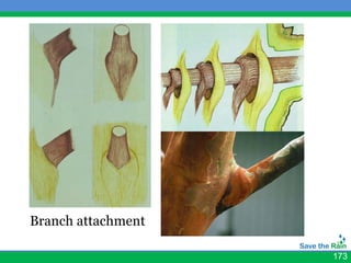 Branch attachment

                    173
 