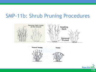 SMP-11b: Shrub Pruning Procedures




                                    176
 