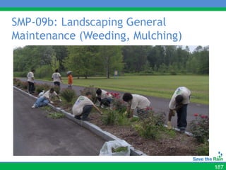 SMP-09b: Landscaping General
Maintenance (Weeding, Mulching)




                                  187
 