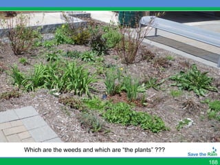 SMP-09b: Landscaping Maintenance
(Weeding, Mulching)




  Which are the weeds and which are “the plants” ???
                                                       188
 