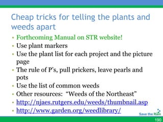 Cheap tricks for telling the plants and
weeds apart
• Forthcoming Manual on STR website!
• Use plant markers
• Use the plant list for each project and the picture
  page
• The rule of P’s, pull prickers, leave pearls and
  pots
• Use the list of common weeds
• Other resources: “Weeds of the Northeast”
• http://njaes.rutgers.edu/weeds/thumbnail.asp
• http://www.garden.org/weedlibrary/
                                                        190
 