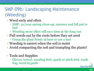 SMP-09b: Landscaping Maintenance
(Weeding)
• Weed early and often
  ▫ SMP: 3x/year-spring clean-up, summer and fall put to
    bed
  ▫ Weeding more often will save time in the long run
• Pull weeds out by the roots before they set seed
  ▫ Grasp the plant firmly at base or use a tool
• Weeding is easiest when the soil is moist
• Avoid compacting the soil and trampling the plants!

• Tools and Supplies
  ▫ Gloves, trowel, weeding fork, spade or pitch fork, trash
    bag, weed id guide

                                                               191
 