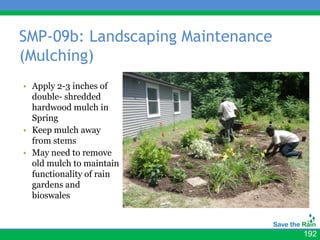 SMP-09b: Landscaping Maintenance
(Mulching)
• Apply 2-3 inches of
  double- shredded
  hardwood mulch in
  Spring
• Keep mulch away
  from stems
• May need to remove
  old mulch to maintain
  functionality of rain
  gardens and
  bioswales



                                   192
 