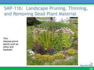 SMP-11b: Landscape Pruning, Thinning,
and Removing Dead Plant Material




Thin
disease-prone
plants such as
phlox and
beebalm




                                        196
 