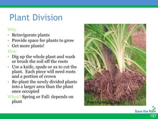 Plant Division
Why
• Reinvigorate plants
• Provide space for plants to grow
• Get more plants!
How
• Dig up the whole plant and wash
  or brush the soil off the roots
• Use a knife, spade or ax to cut the
  plant. Each piece will need roots
  and a portion of crown
• Re-plant the newly divided plants
  into a larger area than the plant
  once occupied
When? Spring or Fall: depends on
  plant                                 From familyzip.com


                                                             197
 