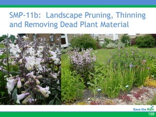 SMP-11b: Landscape Pruning, Thinning
and Removing Dead Plant Material




                                       198
 