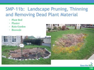 SMP-11b: Landscape Pruning, Thinning
and Removing Dead Plant Material
 ▫   Plant Bed
 ▫   Planter
                   • Insert photos
 ▫   Rain Garden
 ▫   Bioswale




                                       199
 
