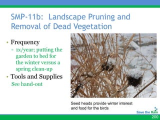 SMP-11b: Landscape Pruning and
 Removal of Dead Vegetation
• Frequency
 ▫ 1x/year; putting the
   garden to bed for
   the winter versus a
   spring clean-up
• Tools and Supplies
 See hand-out


                          Seed heads provide winter interest
                          and food for the birds

                                                               200
 