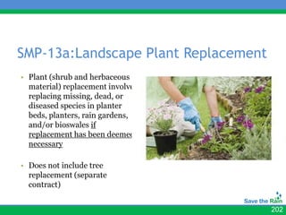 SMP-13a:Landscape Plant Replacement
• Plant (shrub and herbaceous
  material) replacement involves
  replacing missing, dead, or
  diseased species in planter
  beds, planters, rain gardens,
  and/or bioswales if
  replacement has been deemed
  necessary

• Does not include tree
  replacement (separate
  contract)


                                      202
 