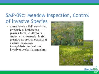SMP-09c: Meadow Inspection, Control
of Invasive Species
• A meadow is a field consisting
  primarily of herbaceous
  grasses, forbs, wildflowers,
  and other non-woody plants.
  Meadow inspection consists of
  a visual inspection,
  trash/debris removal, and
  invasive species management.




                                      207
 