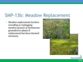 SMP-13b: Meadow Replacement
• Meadow replacement involves    • photos
  reseeding or replugging
  meadow grasses or herbaceous
  groundcover plants if
  replacement has been deemed
  necessary.




                                            213
 