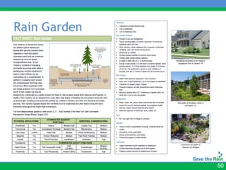 Rain Garden




              50
 