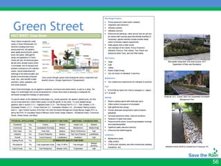 Green Street




               56
 