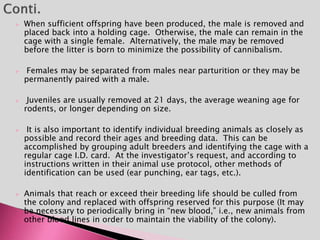  When sufficient offspring have been produced, the male is removed and
placed back into a holding cage. Otherwise, the male can remain in the
cage with a single female. Alternatively, the male may be removed
before the litter is born to minimize the possibility of cannibalism.
 Females may be separated from males near parturition or they may be
permanently paired with a male.
 Juveniles are usually removed at 21 days, the average weaning age for
rodents, or longer depending on size.
 It is also important to identify individual breeding animals as closely as
possible and record their ages and breeding data. This can be
accomplished by grouping adult breeders and identifying the cage with a
regular cage I.D. card. At the investigator’s request, and according to
instructions written in their animal use protocol, other methods of
identification can be used (ear punching, ear tags, etc.).
 Animals that reach or exceed their breeding life should be culled from
the colony and replaced with offspring reserved for this purpose (It may
be necessary to periodically bring in “new blood,” i.e., new animals from
other blood lines in order to maintain the viability of the colony).
 