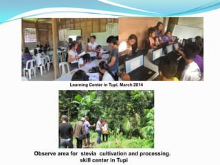 Learning Center in Tupi, March 2014
Observe area for stevia cultivation and processing.
skill center in Tupi
 