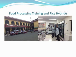 Food Processing Training and Rice Hybride
 