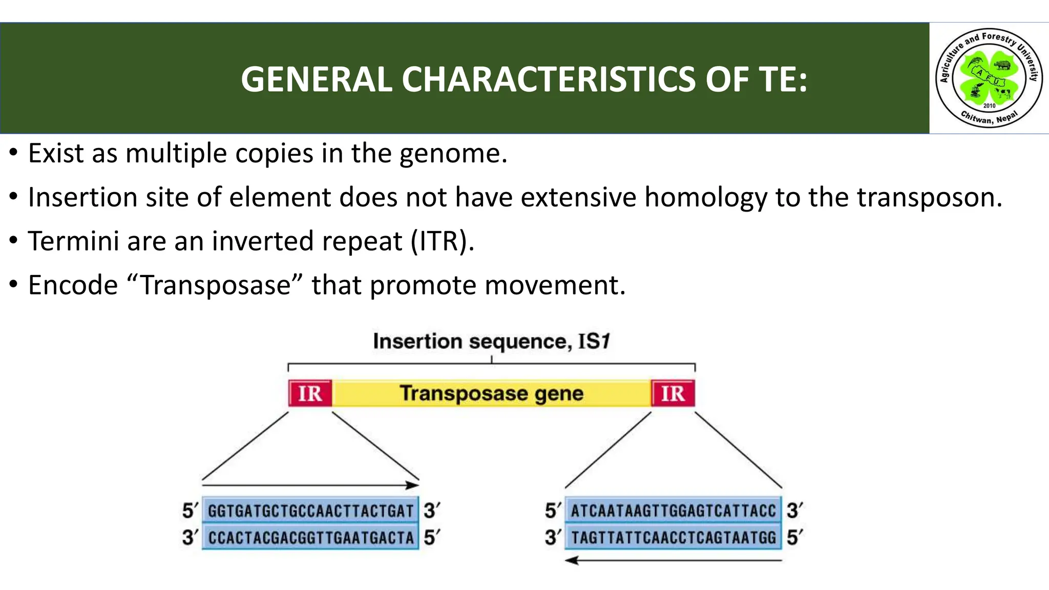 • Exist as multiple copies in the genome.
• Insertion site of element does not have extensive homology to the transposon.
• Termini are an inverted repeat (ITR).
• Encode “Transposase” that promote movement.
GENERAL CHARACTERISTICS OF TE:
 
