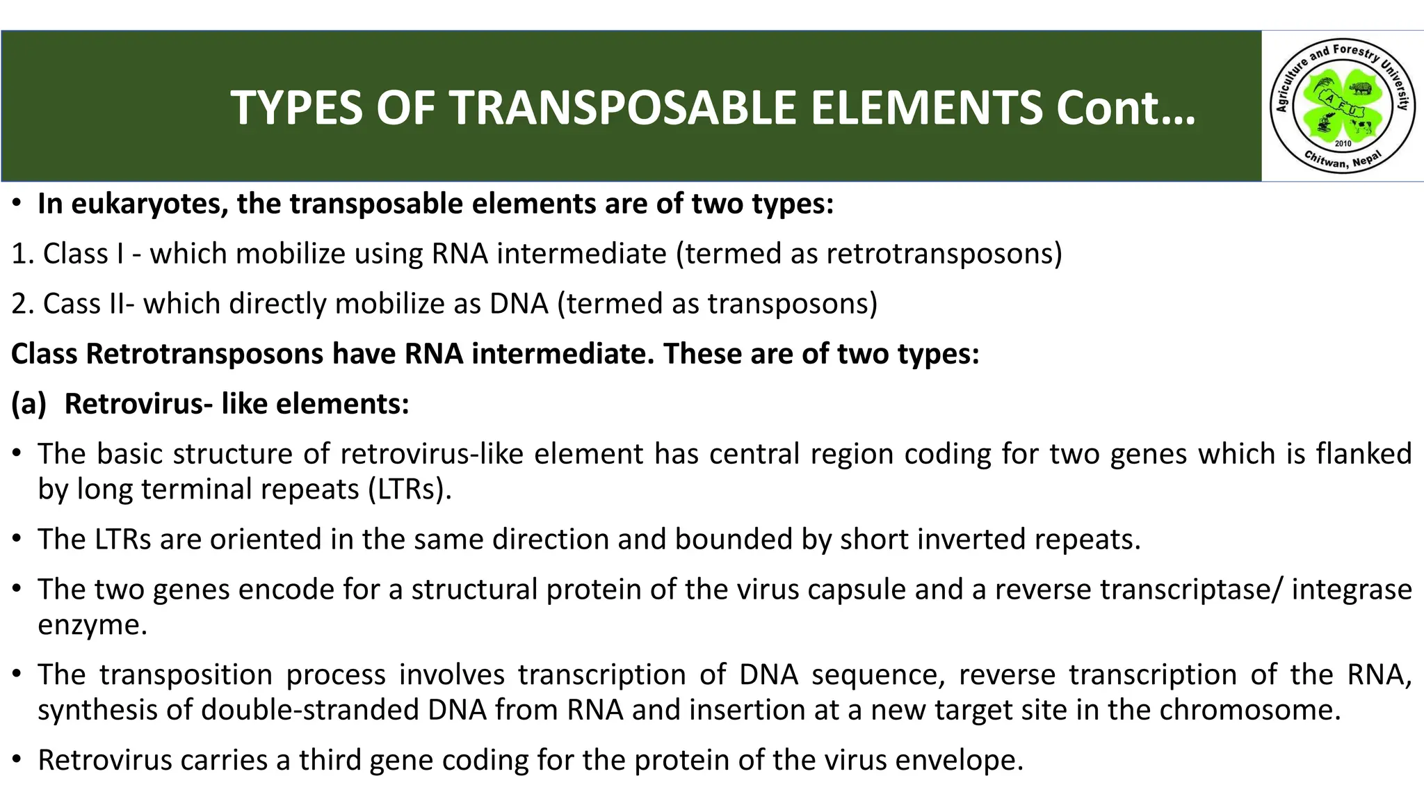 • In eukaryotes, the transposable elements are of two types:
1. Class I - which mobilize using RNA intermediate (termed as retrotransposons)
2. Cass II- which directly mobilize as DNA (termed as transposons)
Class Retrotransposons have RNA intermediate. These are of two types:
(a) Retrovirus- like elements:
• The basic structure of retrovirus-like element has central region coding for two genes which is flanked
by long terminal repeats (LTRs).
• The LTRs are oriented in the same direction and bounded by short inverted repeats.
• The two genes encode for a structural protein of the virus capsule and a reverse transcriptase/ integrase
enzyme.
• The transposition process involves transcription of DNA sequence, reverse transcription of the RNA,
synthesis of double-stranded DNA from RNA and insertion at a new target site in the chromosome.
• Retrovirus carries a third gene coding for the protein of the virus envelope.
TYPES OF TRANSPOSABLE ELEMENTS Cont…
 