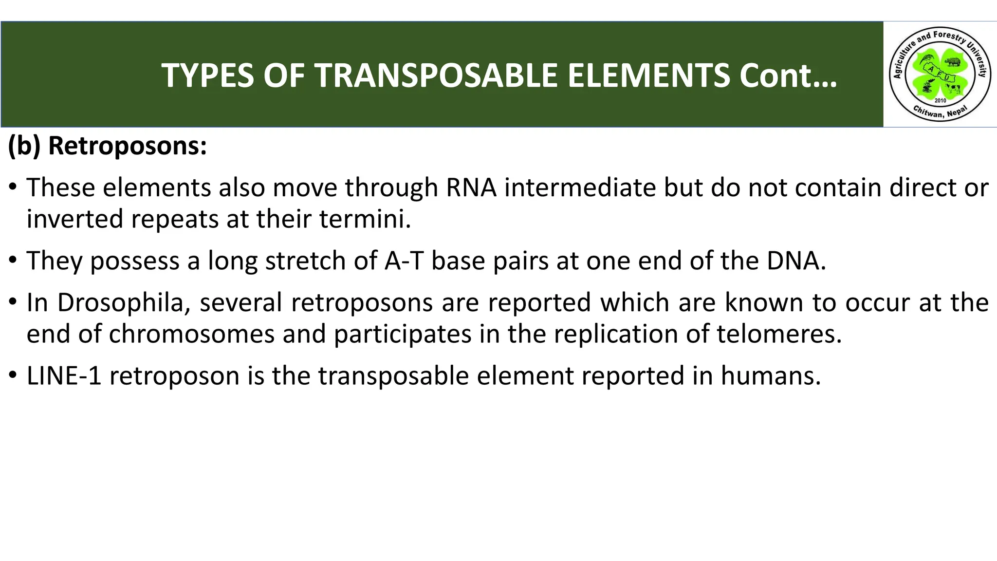 (b) Retroposons:
• These elements also move through RNA intermediate but do not contain direct or
inverted repeats at their termini.
• They possess a long stretch of A-T base pairs at one end of the DNA.
• In Drosophila, several retroposons are reported which are known to occur at the
end of chromosomes and participates in the replication of telomeres.
• LINE-1 retroposon is the transposable element reported in humans.
TYPES OF TRANSPOSABLE ELEMENTS Cont…
 