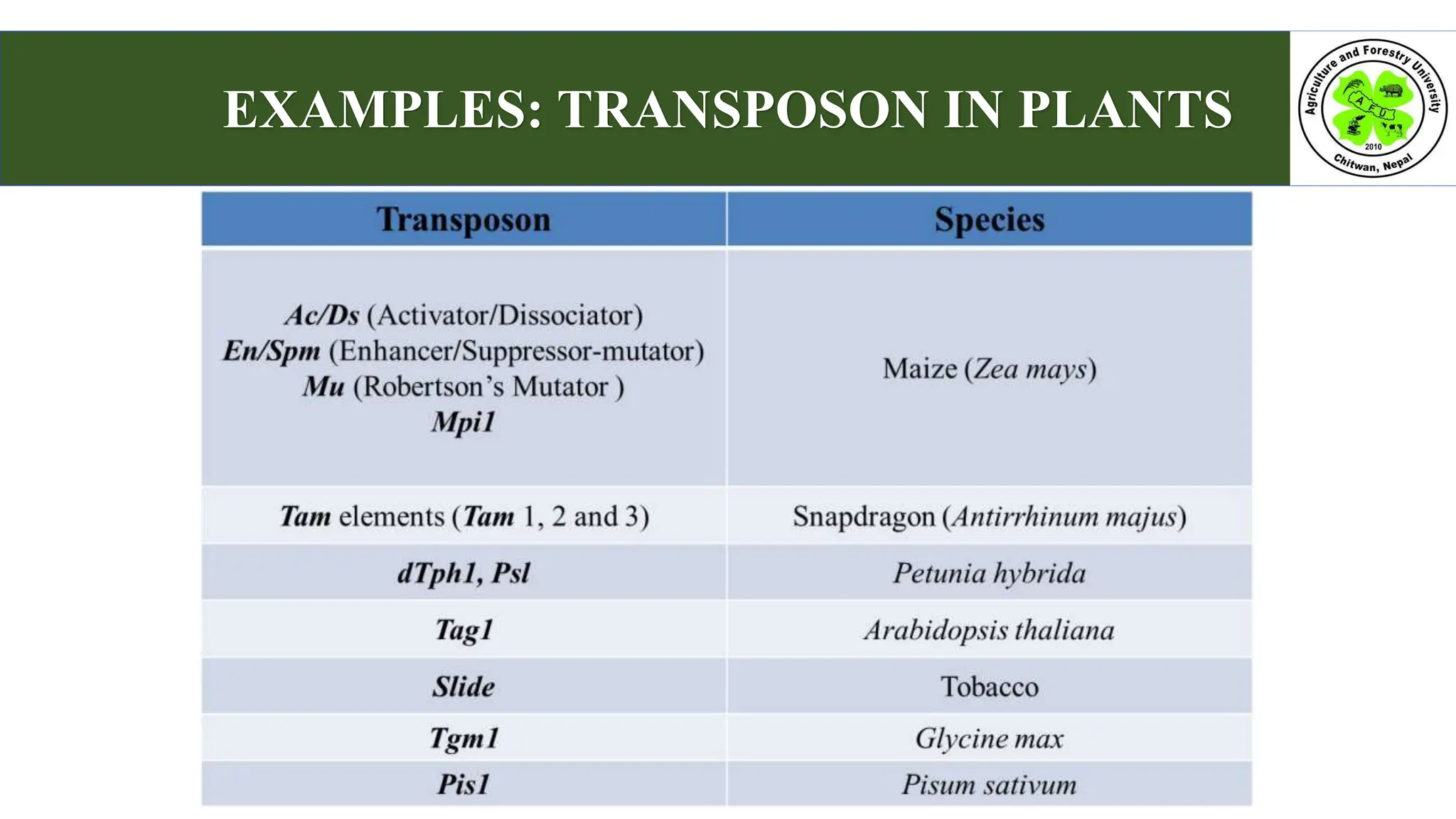 EXAMPLES: TRANSPOSON IN PLANTS
 