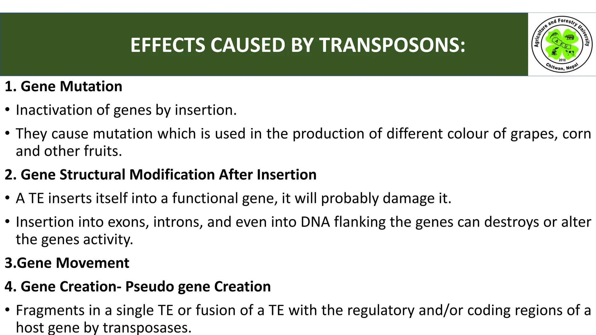 1. Gene Mutation
• Inactivation of genes by insertion.
• They cause mutation which is used in the production of different colour of grapes, corn
and other fruits.
2. Gene Structural Modification After Insertion
• A TE inserts itself into a functional gene, it will probably damage it.
• Insertion into exons, introns, and even into DNA flanking the genes can destroys or alter
the genes activity.
3.Gene Movement
4. Gene Creation- Pseudo gene Creation
• Fragments in a single TE or fusion of a TE with the regulatory and/or coding regions of a
host gene by transposases.
EFFECTS CAUSED BY TRANSPOSONS:
 