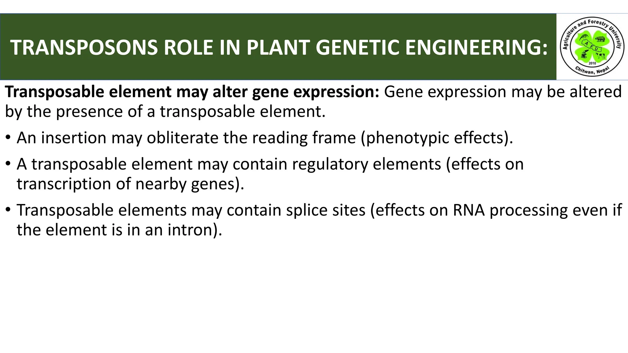 Transposable element may alter gene expression: Gene expression may be altered
by the presence of a transposable element.
• An insertion may obliterate the reading frame (phenotypic effects).
• A transposable element may contain regulatory elements (effects on
transcription of nearby genes).
• Transposable elements may contain splice sites (effects on RNA processing even if
the element is in an intron).
TRANSPOSONS ROLE IN PLANT GENETIC ENGINEERING:
 