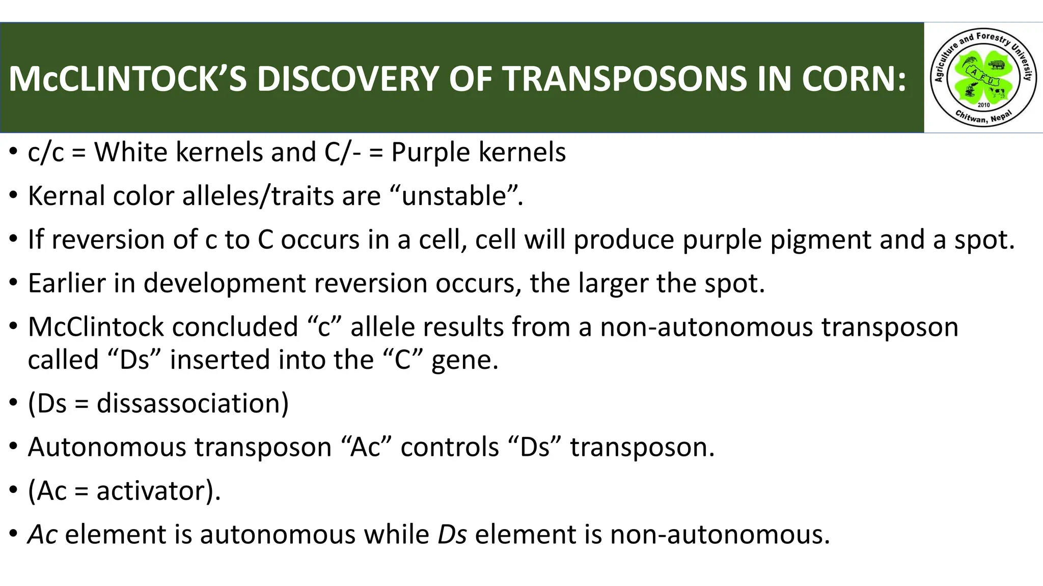 • c/c = White kernels and C/- = Purple kernels
• Kernal color alleles/traits are “unstable”.
• If reversion of c to C occurs in a cell, cell will produce purple pigment and a spot.
• Earlier in development reversion occurs, the larger the spot.
• McClintock concluded “c” allele results from a non-autonomous transposon
called “Ds” inserted into the “C” gene.
• (Ds = dissassociation)
• Autonomous transposon “Ac” controls “Ds” transposon.
• (Ac = activator).
• Ac element is autonomous while Ds element is non-autonomous.
McCLINTOCK’S DISCOVERY OF TRANSPOSONS IN CORN:
 