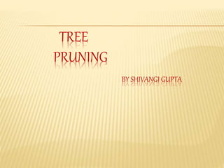 TREE
PRUNING
BY SHIVANGI GUPTA
 
