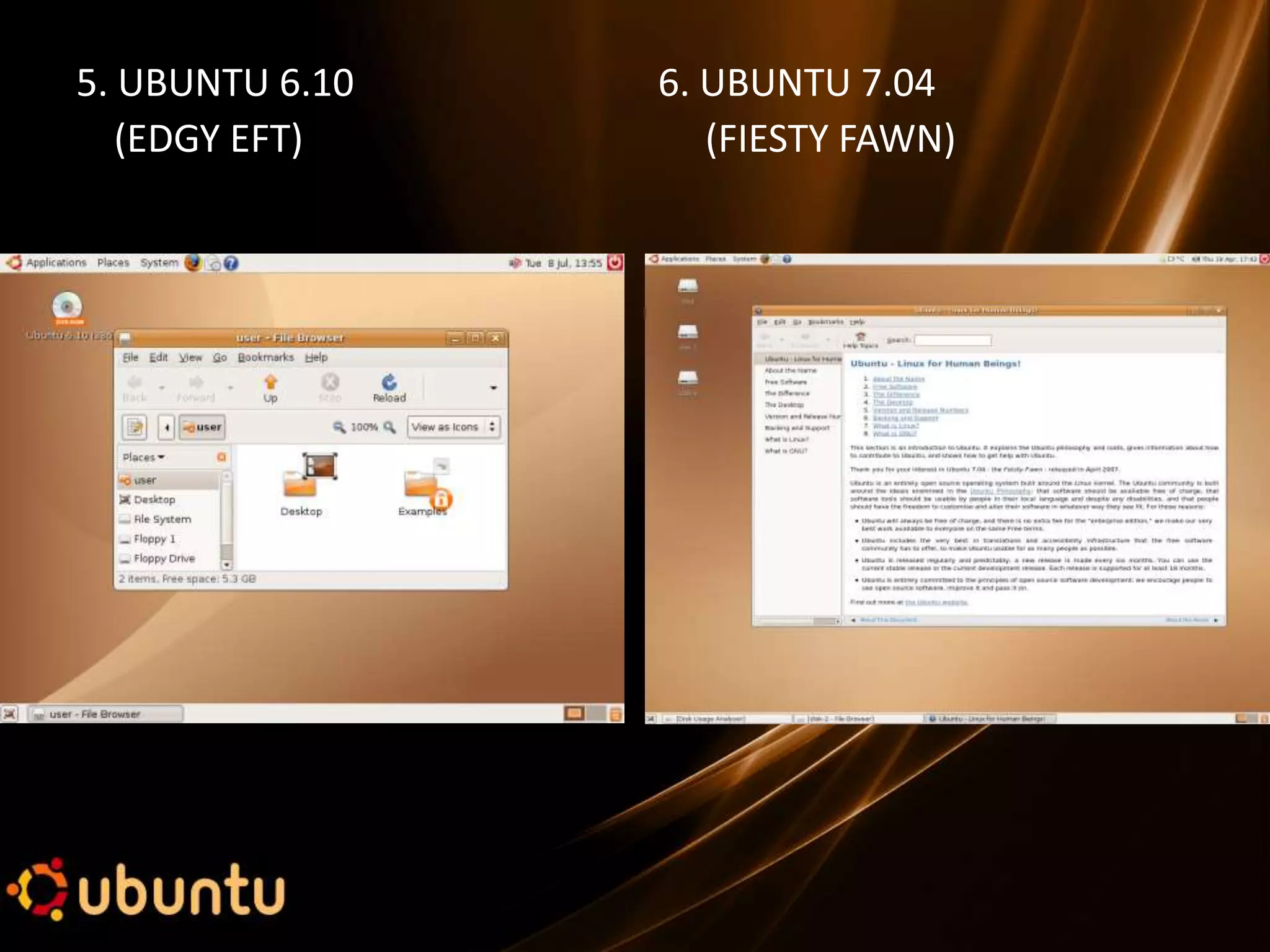 5. UBUNTU 6.10   6. UBUNTU 7.04
   (EDGY EFT)       (FIESTY FAWN)
 