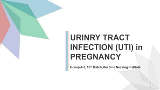 URINRY TRACT
INFECTION (UTI) in
PREGNANCY
GroupA-5, 10th Batch, Ibn Sina Nursing Institute
1
 