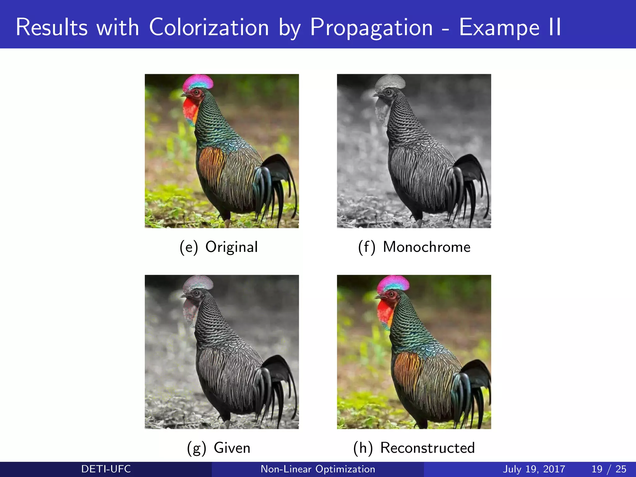 Results with Colorization by Propagation - Exampe II
(e) Original (f) Monochrome
(g) Given (h) Reconstructed
DETI-UFC Non-Linear Optimization July 19, 2017 19 / 25
 