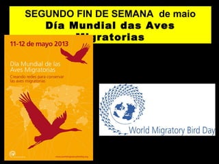 SEGUNDO FIN DE SEMANA de maio
Día Mundial das Aves
Migratorias
 