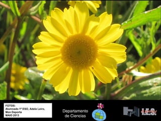 FOTOS:
Alumnado 1º ESO, Adela Leiro,
Mon Daporta
MAIO 2013
Departamento
de Ciencias
 