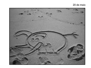 20 de maio
 