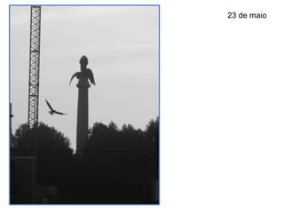 23 de maio
 