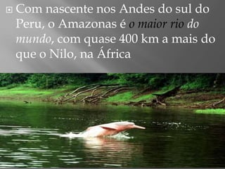    Com nascente nos Andes do sul do
    Peru, o Amazonas é o maior rio do
    mundo, com quase 400 km a mais do
    que o Nilo, na África
 