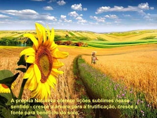 A própria Natureza oferece lições sublimes nesse  sentido - cresce a árvore para a frutificação, cresce a fonte para benefício do solo.  