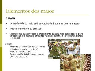 Elementos dos maios O MAIO  A morfoloxía do maio está subordinada á zona na que se elabora. Pode ser enxebre ou artístico. Xestáronse para invocar o crecemento das plantas cultivadas e para protexelas de posíbeis ameazas naturais (animais) ou sobrenaturais (meigas).  Tipos  Persoas ornamentadas con flores e froitos(« maio vivente ») NORTE DE GALICIA Construcción totalmente vexetal  SUR DE GALICIA 