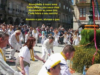 Alumádelle á nosa avea Cada febra a súa saca chea Alumádelle ao noso liño Cada febra o seu serriño Alumea o pan, alumea o pan   
