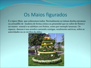 Os Maios figurados
 É o típico Maio que coñecemos todos. Normalmente se trátase dunha estrutura
ou armadillo de madeira de forma cónica ou piramidal que se cubre de flores e
un manto vexetal e se adobían con froitos, como por exemplo laranxas. Os
rapaces danzan ó seu arredor cantando cantigas, xeralmente satíricas, sobre as
autoridades ou os veciños da aldea.
 