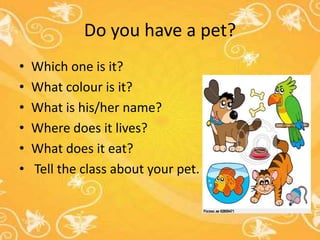 Do you have a pet?
•   Which one is it?
•   What colour is it?
•   What is his/her name?
•   Where does it lives?
•   What does it eat?
•   Tell the class about your pet.
 