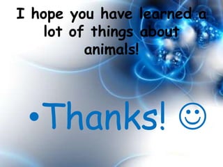 I hope you have learned a
    lot of things about
          animals!




 •Thanks! 
 