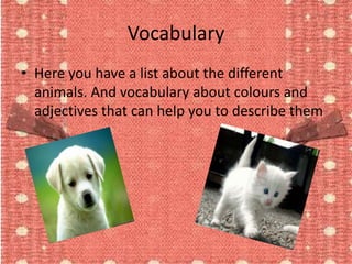 Vocabulary
• Here you have a list about the different
  animals. And vocabulary about colours and
  adjectives that can help you to describe them
 
